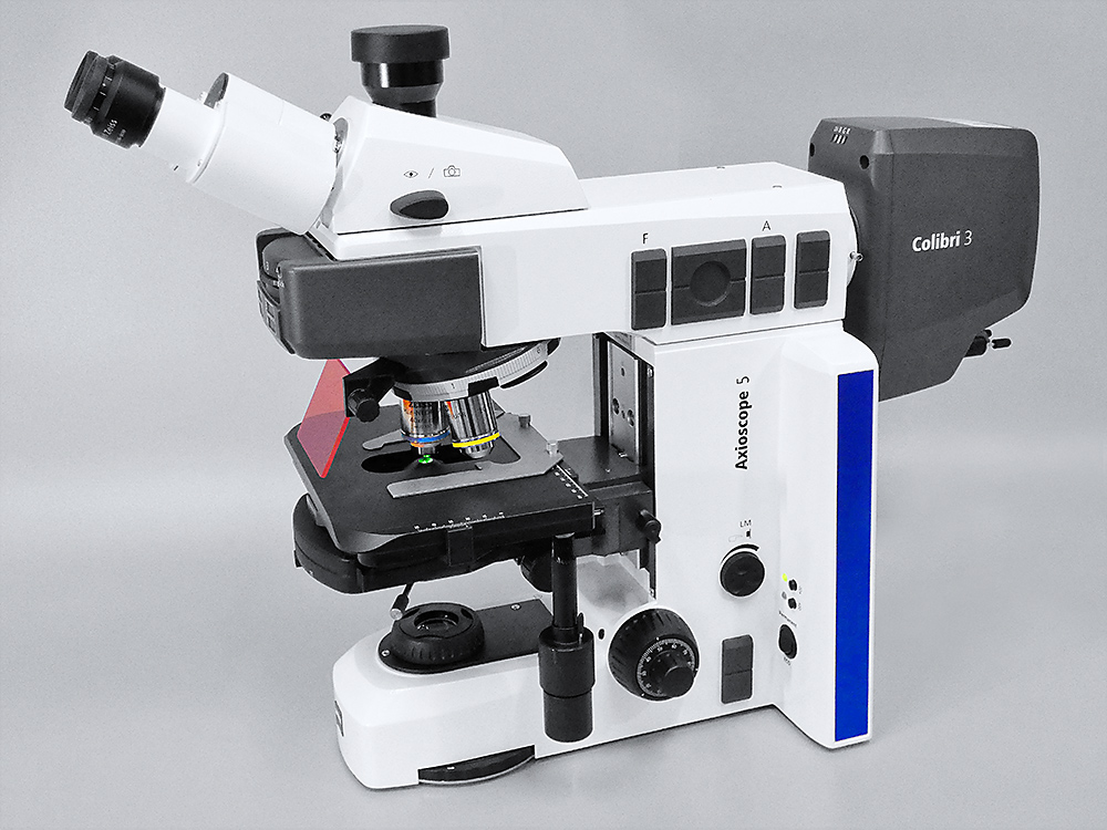 mic service Mic In Vorbereitung